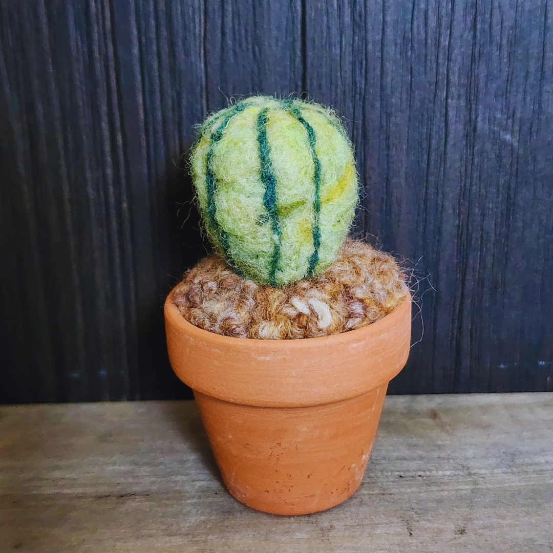 Handmade Potted Wool Barrel Cactus, Spikeless