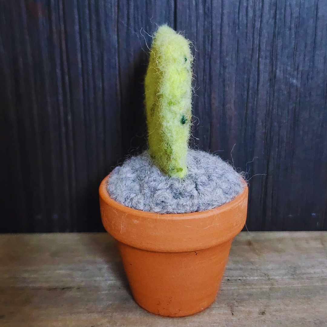 Handmade Potted Wool Hoya Heart Plant