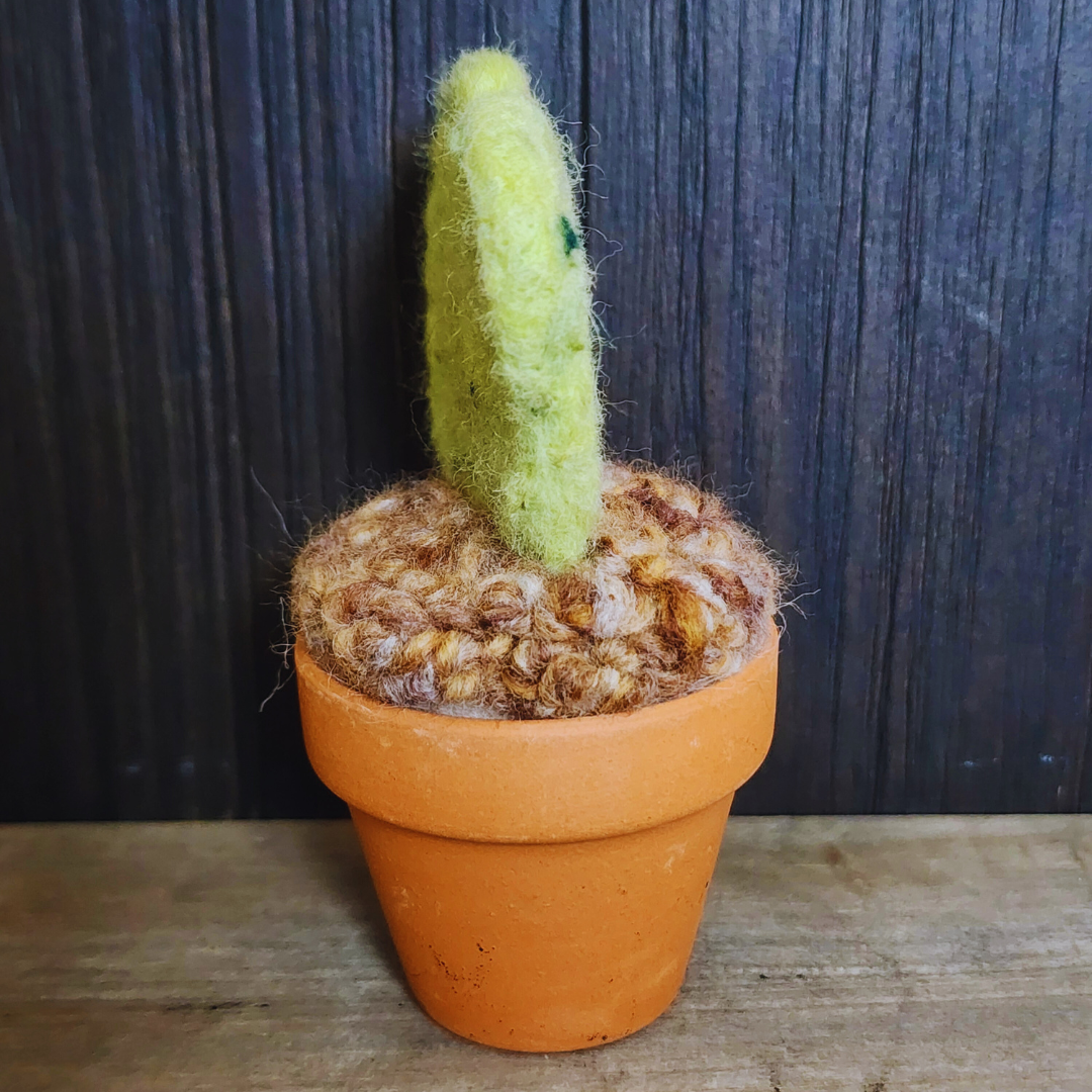 Handmade Potted Wool Hoya Heart Plant