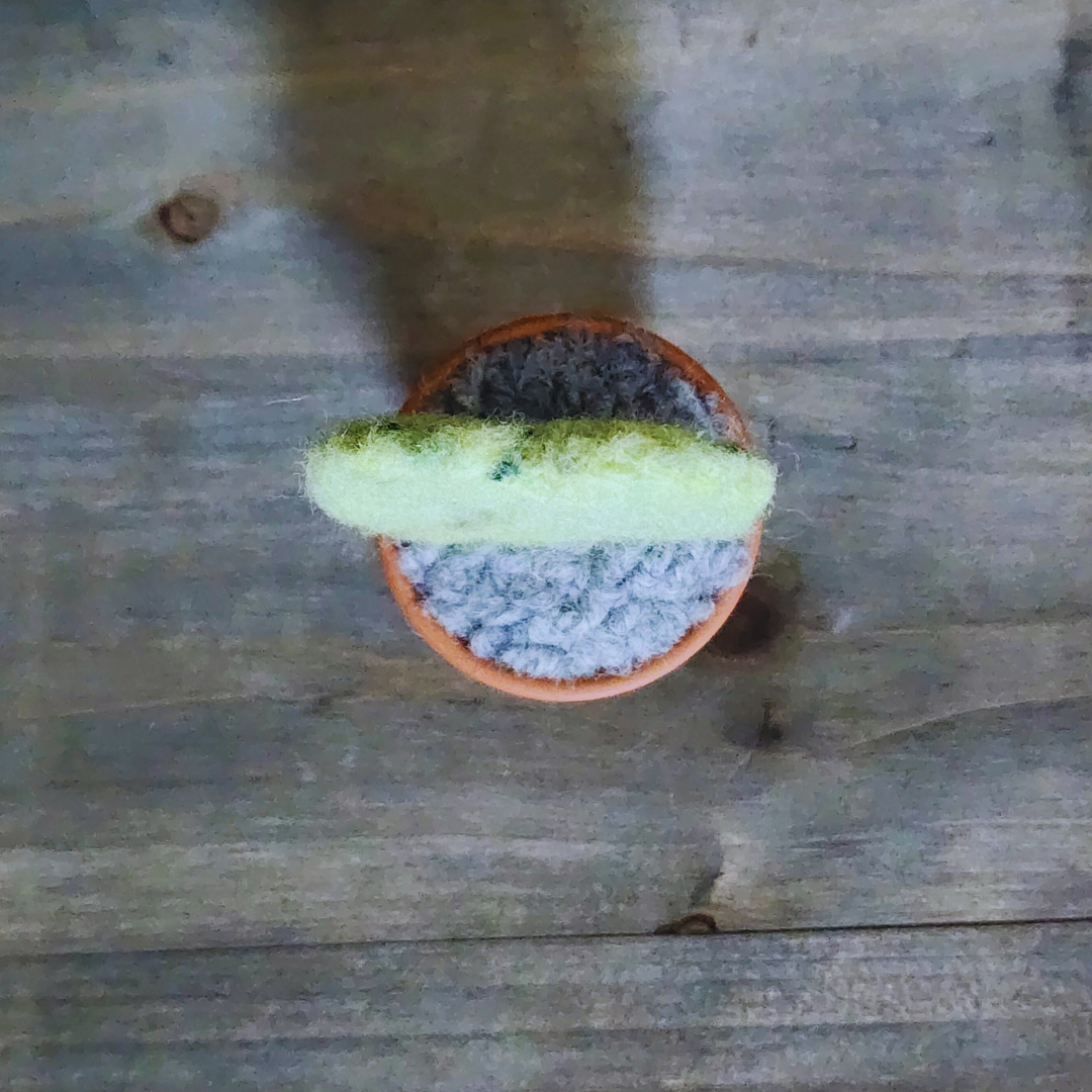 Handmade Potted Wool Hoya Heart Plant