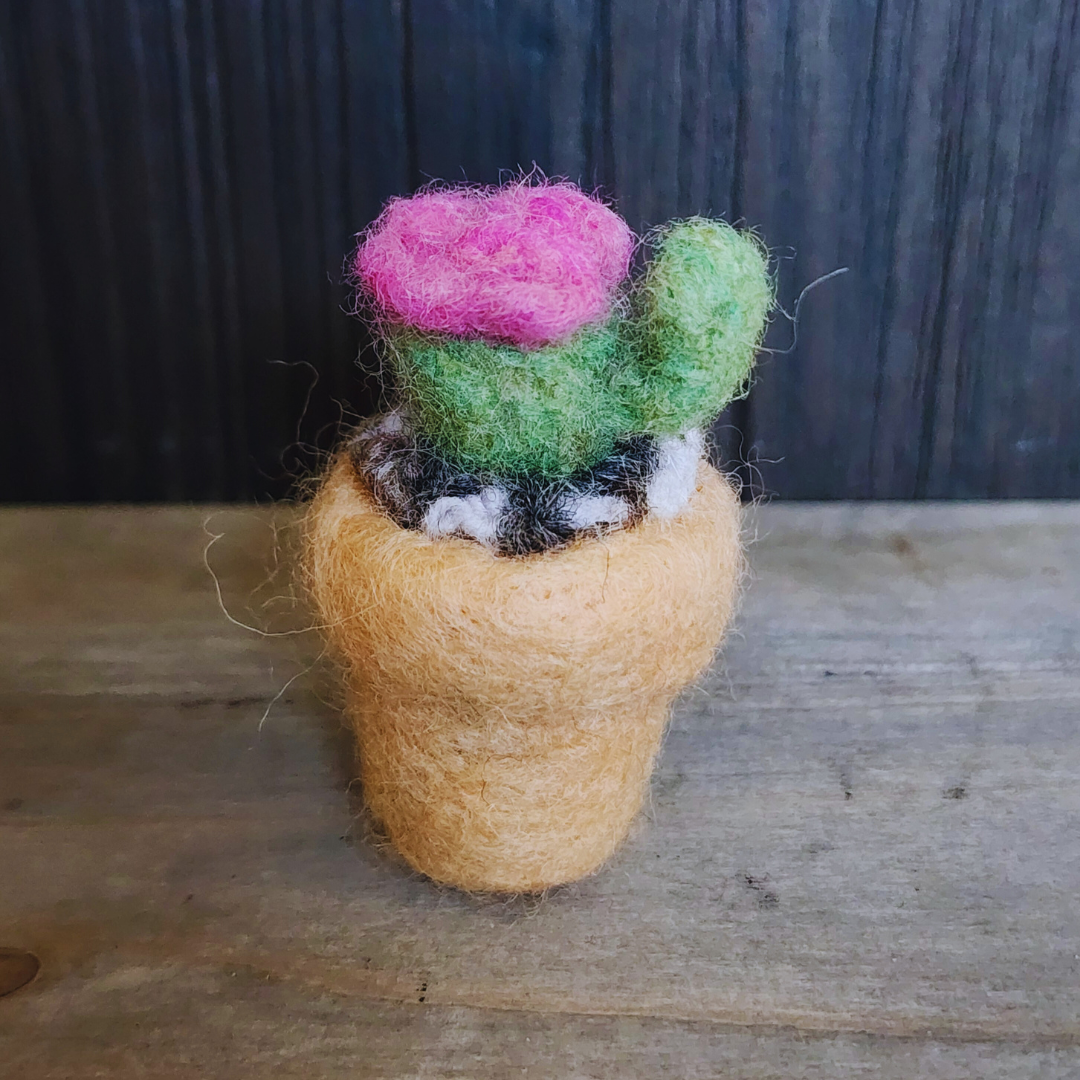 Handmade Wool Flowering Cactus Decor, No Thorns