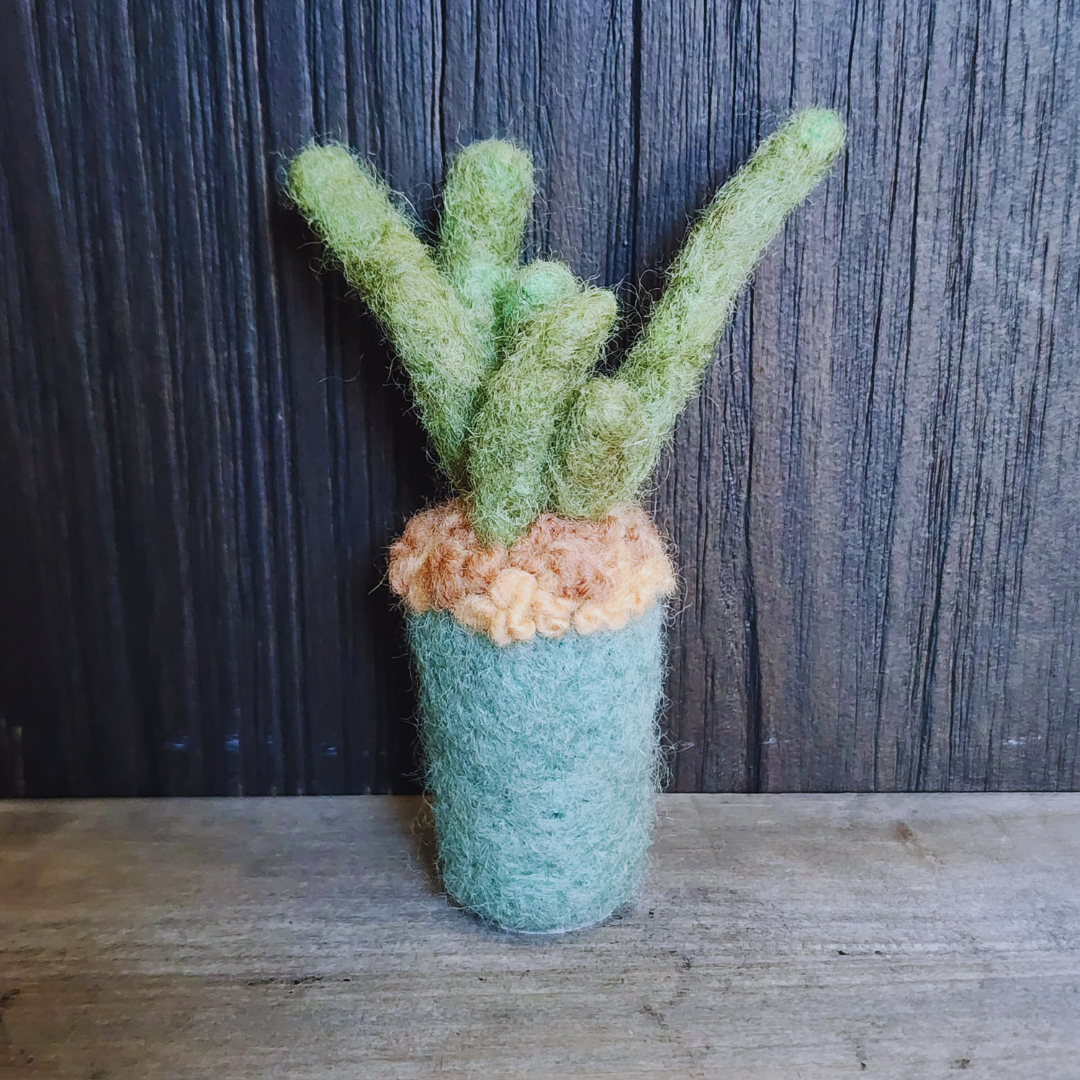 Handmade Wool Felted Mini Organ Pipe Cactus, No Thorns
