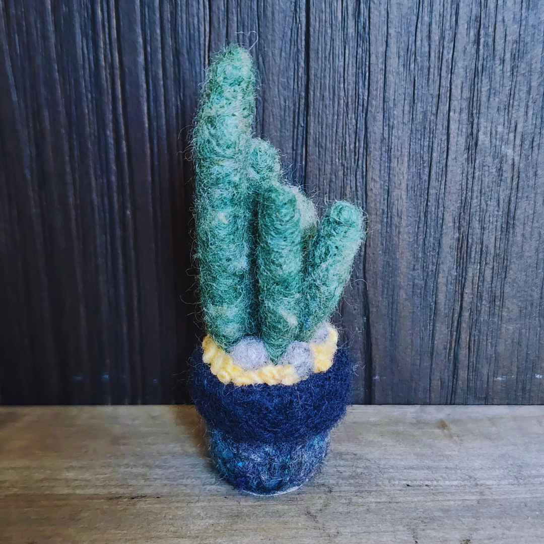 Handmade Wool Felted Mini Organ Pipe Cactus, No Thorns