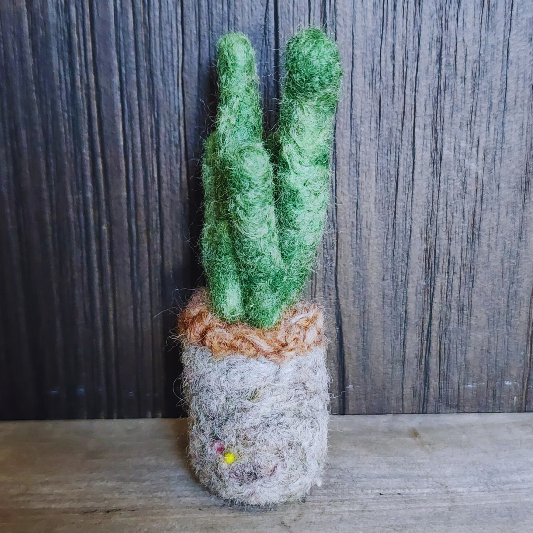 Handmade Wool Felted Mini Organ Pipe Cactus, No Thorns