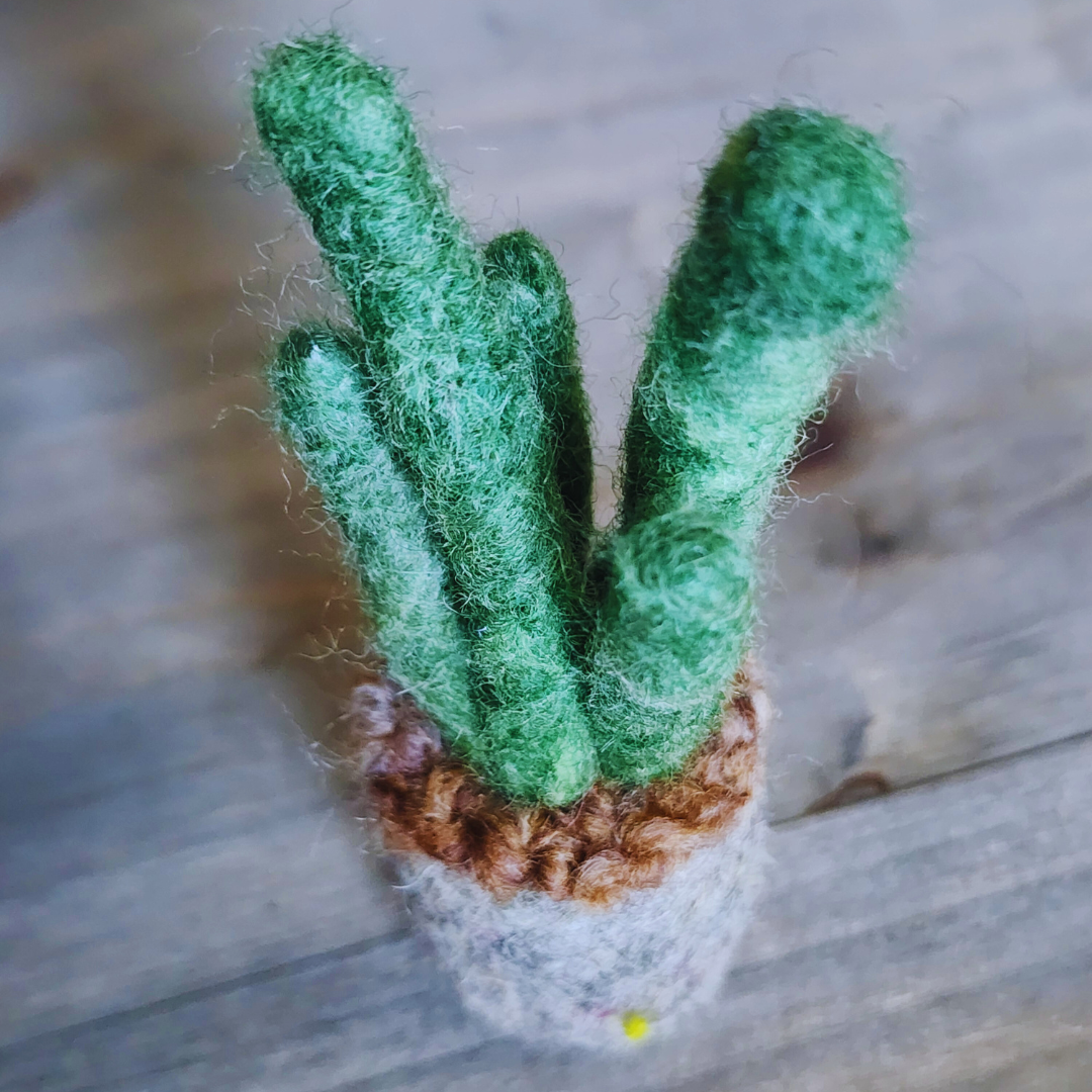 Handmade Wool Felted Mini Organ Pipe Cactus, No Thorns