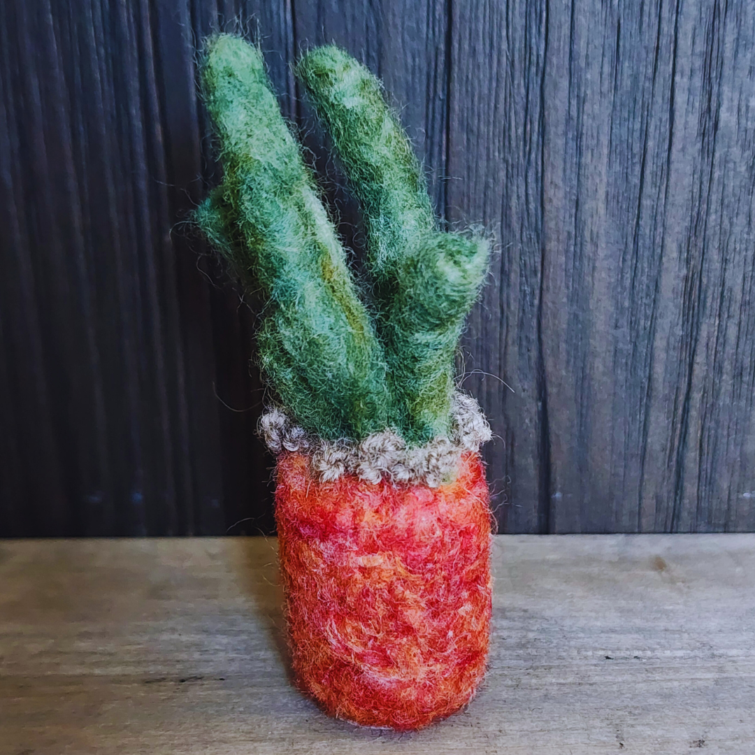Handmade Wool Felted Mini Organ Pipe Cactus, No Thorns