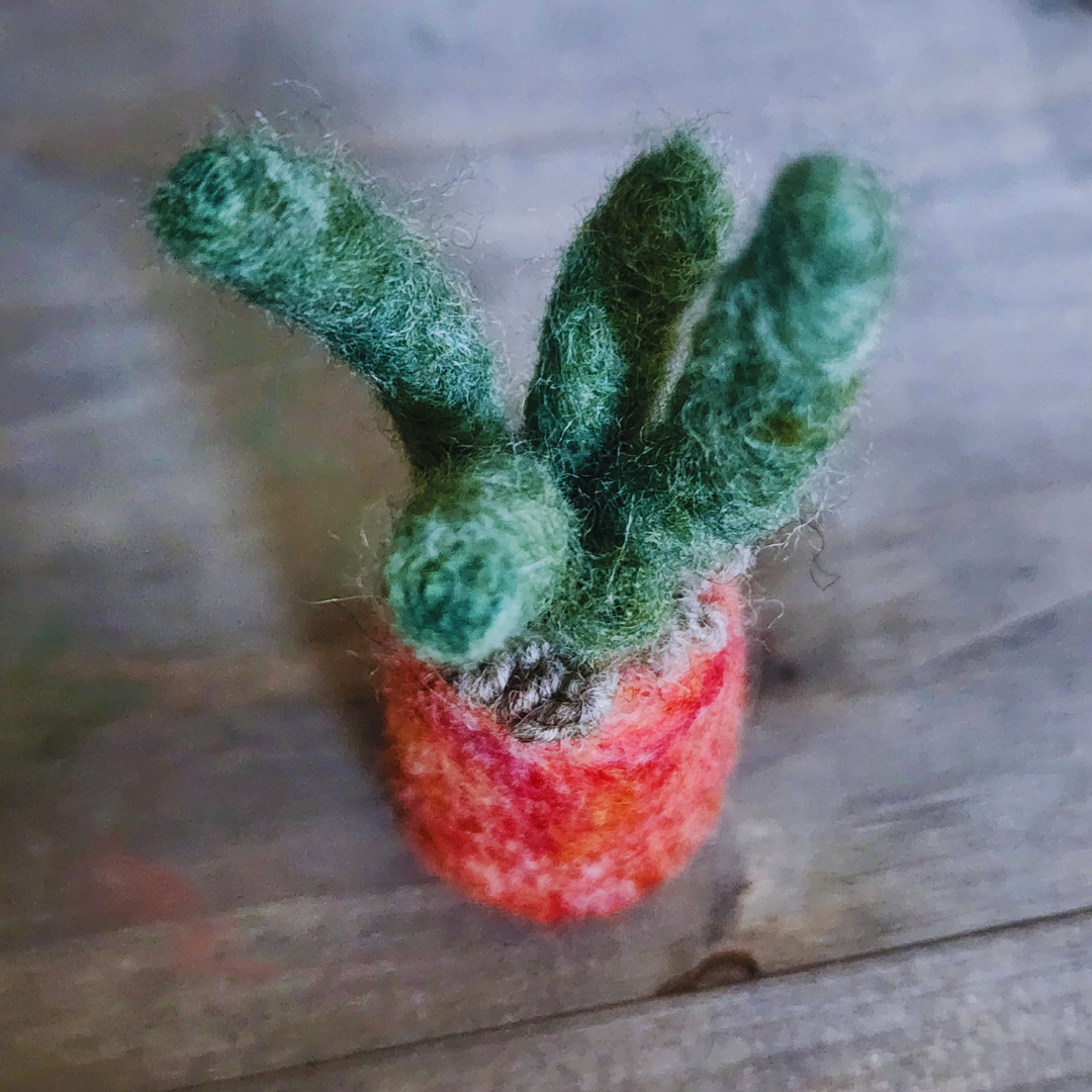 Handmade Wool Felted Mini Organ Pipe Cactus, No Thorns