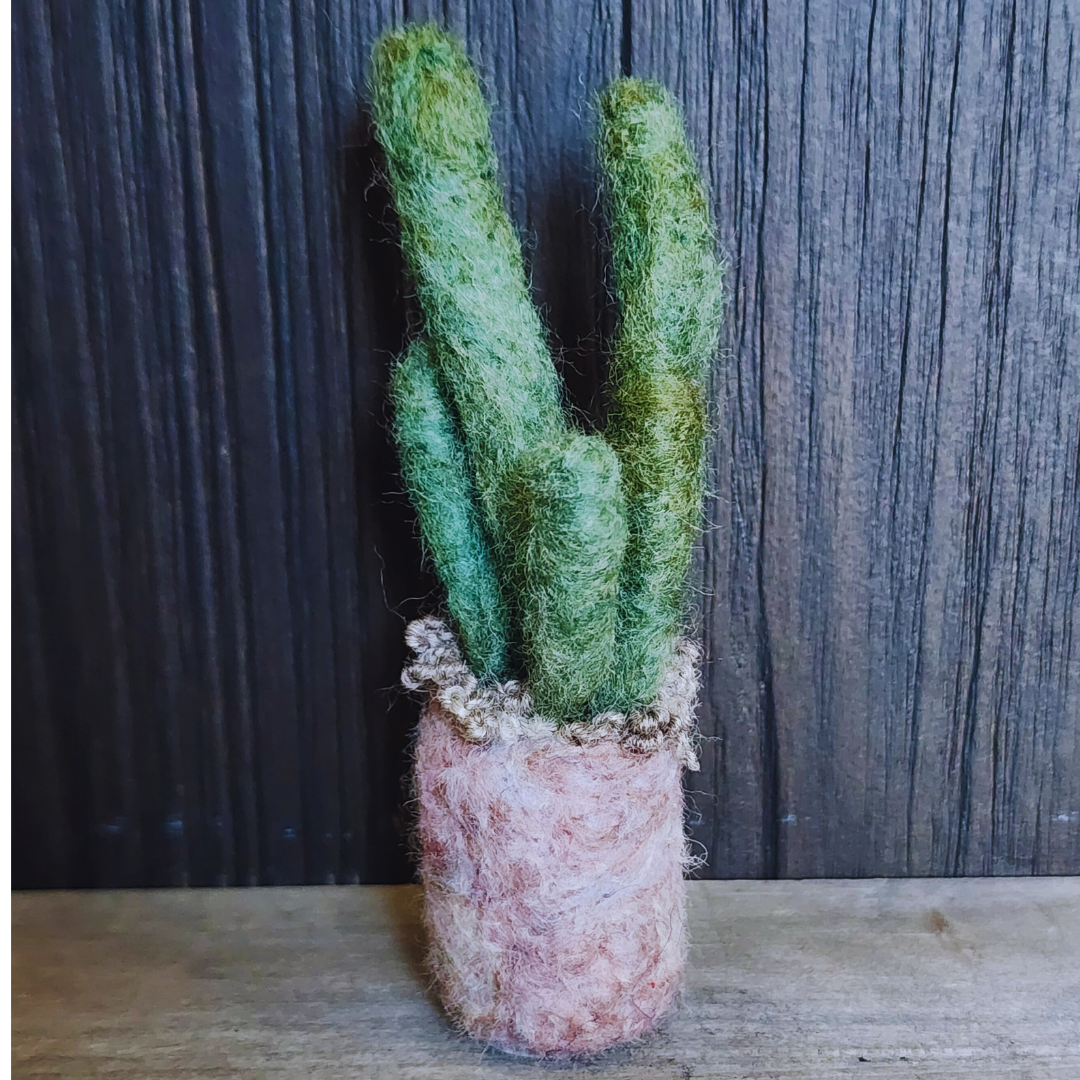 Handmade Wool Felted Mini Organ Pipe Cactus, No Thorns