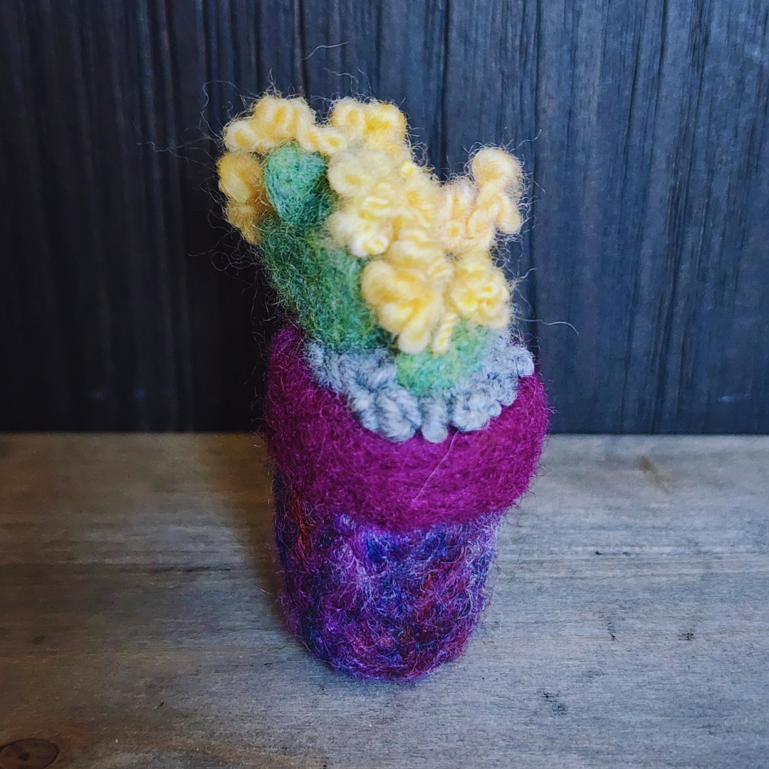 Handmade Wool Flowering Prickly Pear Cactus, No Thorns