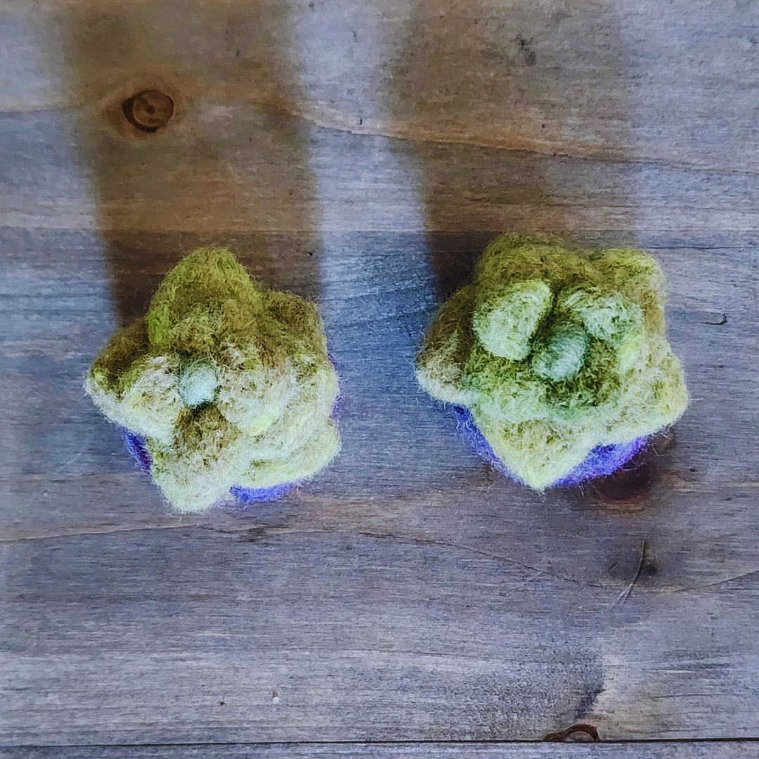 Handmade Wool Felted Mini Succulent, No Water