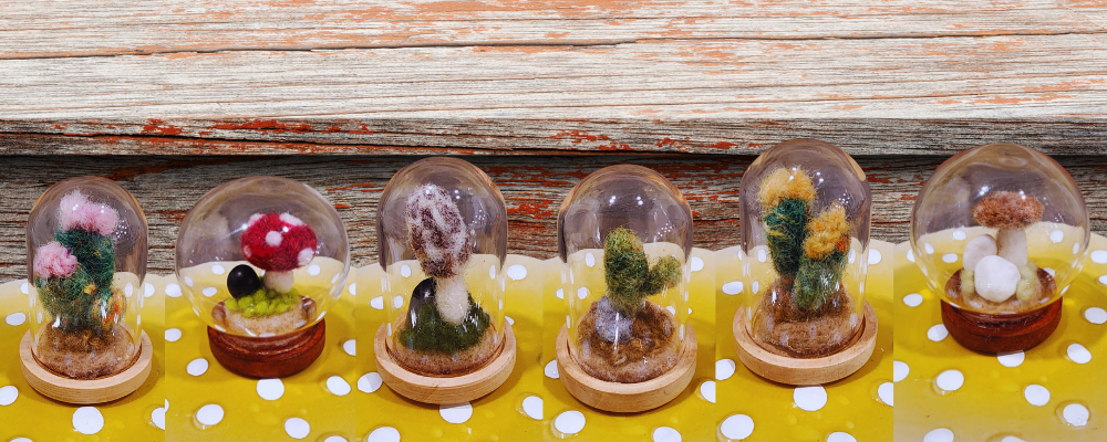 Tiny Worlds, Endless Whimsy: The Joy of Creating Micro-Miniature Terrariums