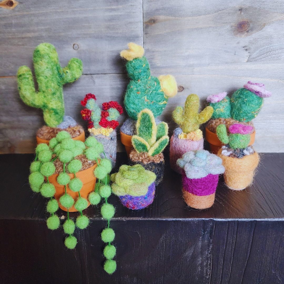 Mini Plants
