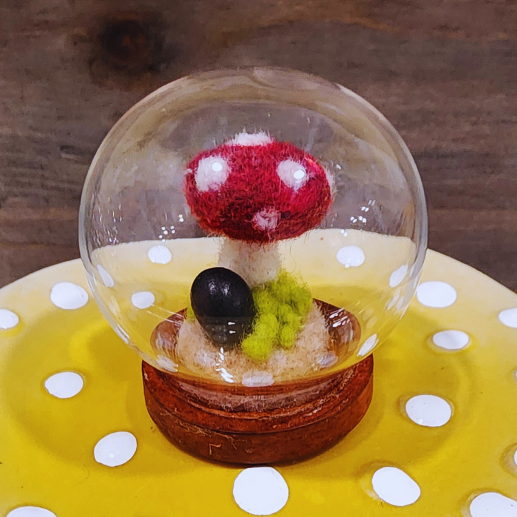 Mini Terrariums Collection