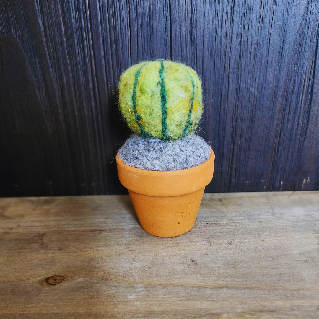 Handmade Potted Wool Barrel Cactus, Spikeless