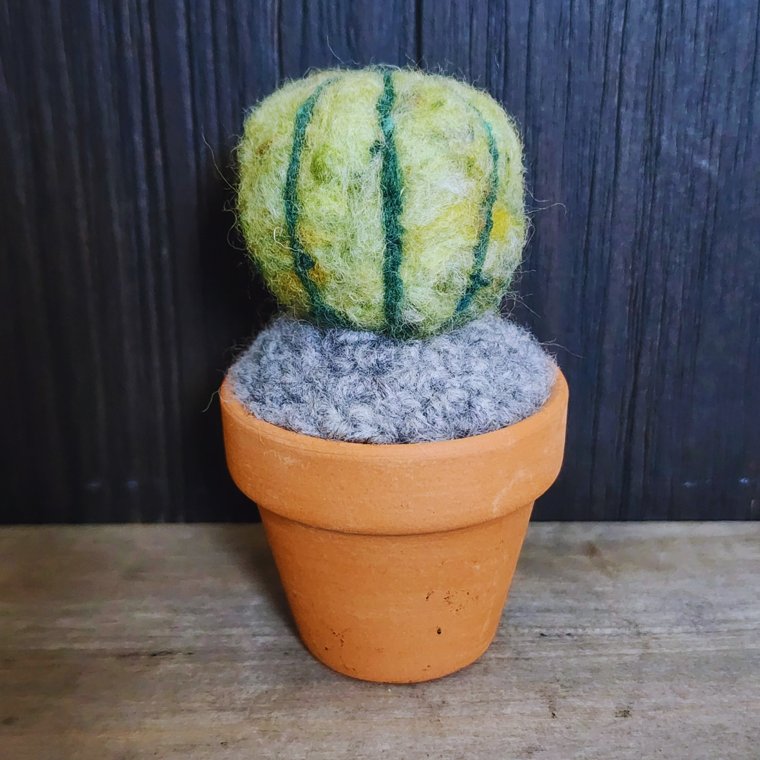 Handmade Potted Wool Barrel Cactus, Spikeless