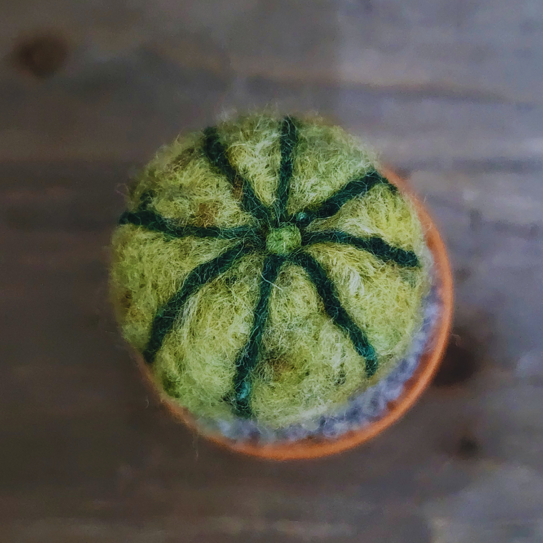 Handmade Potted Wool Barrel Cactus, Spikeless