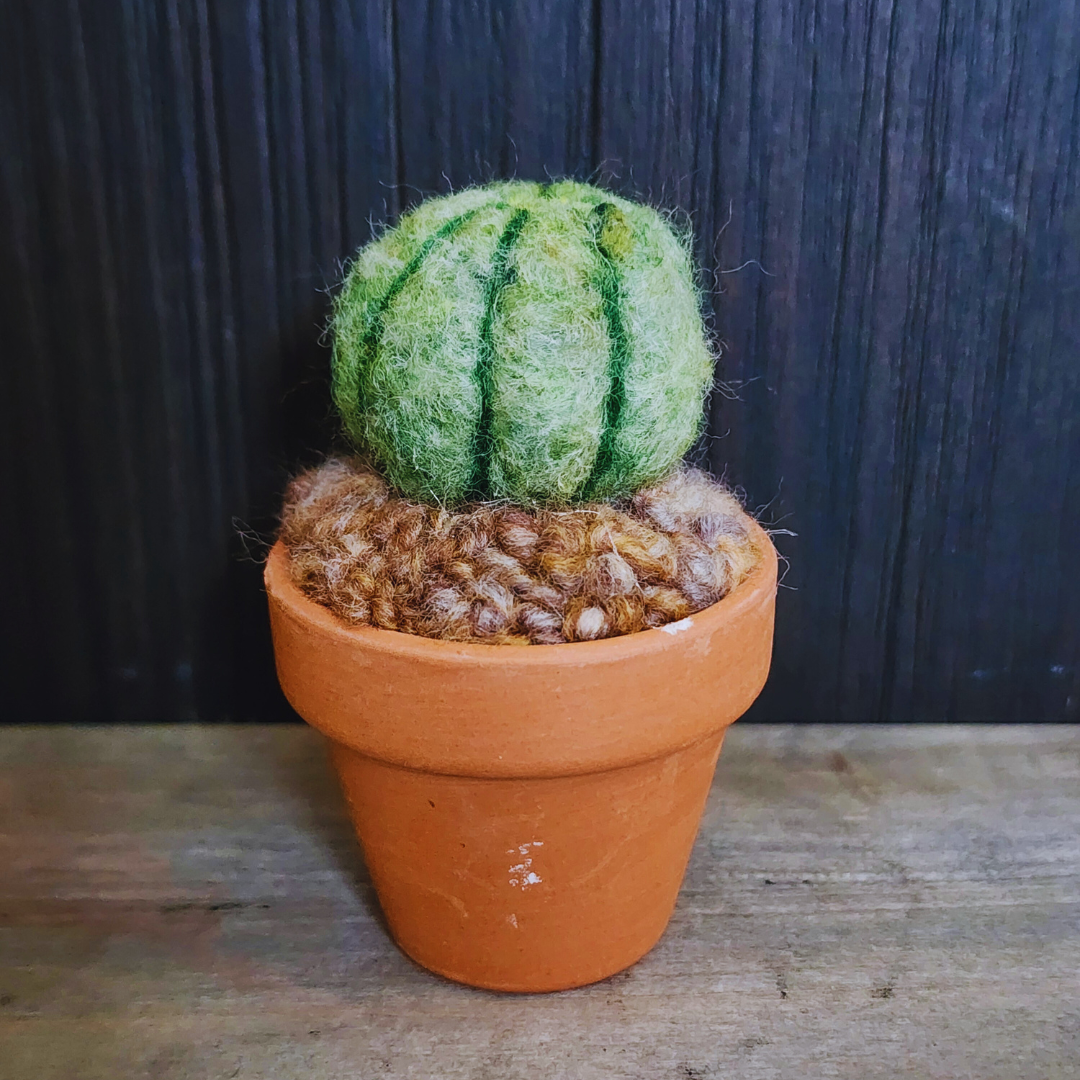 Handmade Potted Wool Barrel Cactus, Spikeless