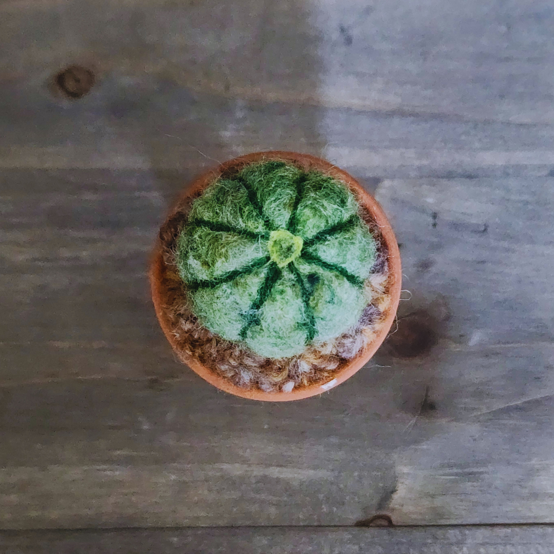 Handmade Potted Wool Barrel Cactus, Spikeless