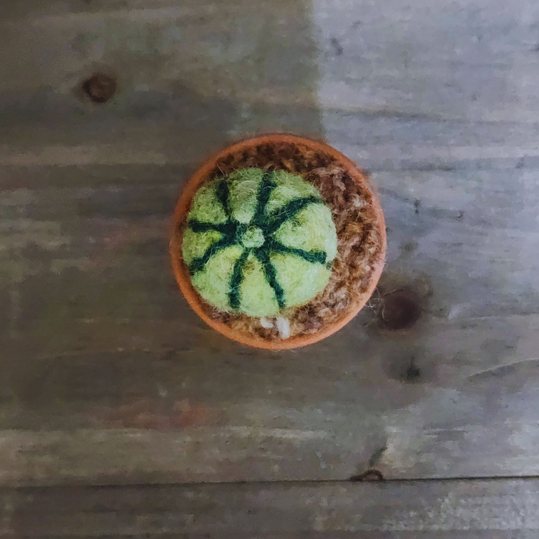 Handmade Potted Wool Barrel Cactus, Spikeless
