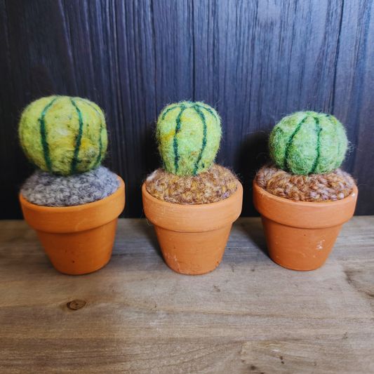 Handmade Potted Wool Barrel Cactus, Spikeless