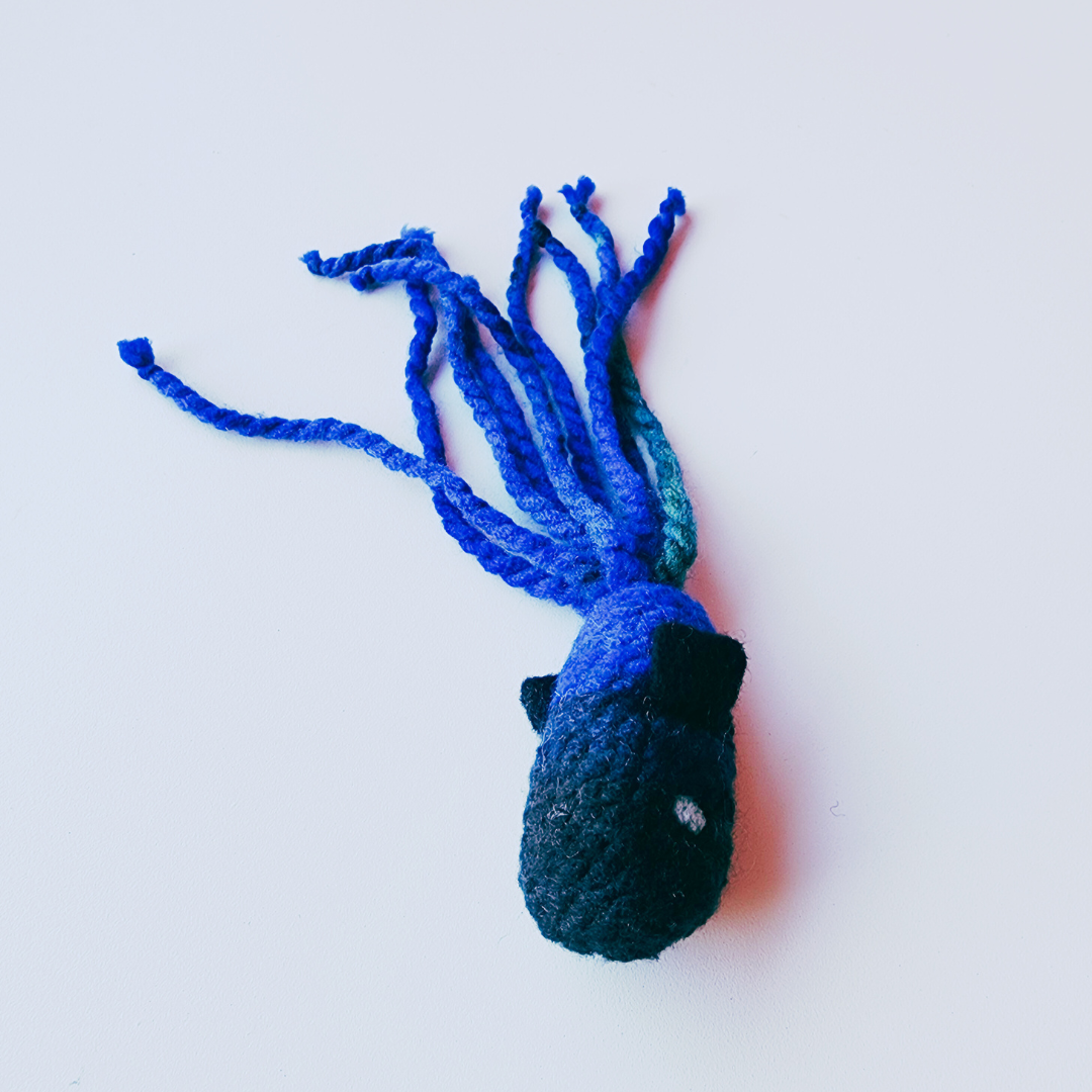 Handmade Catnip Fish Cat Toy, Durable Wool & Acrylic