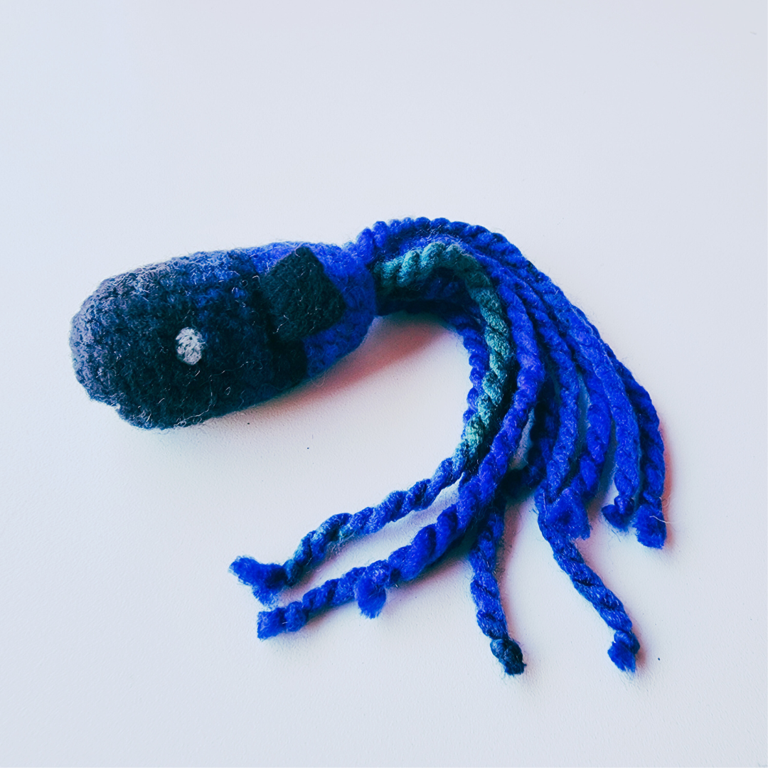 Handmade Catnip Fish Cat Toy, Durable Wool & Acrylic