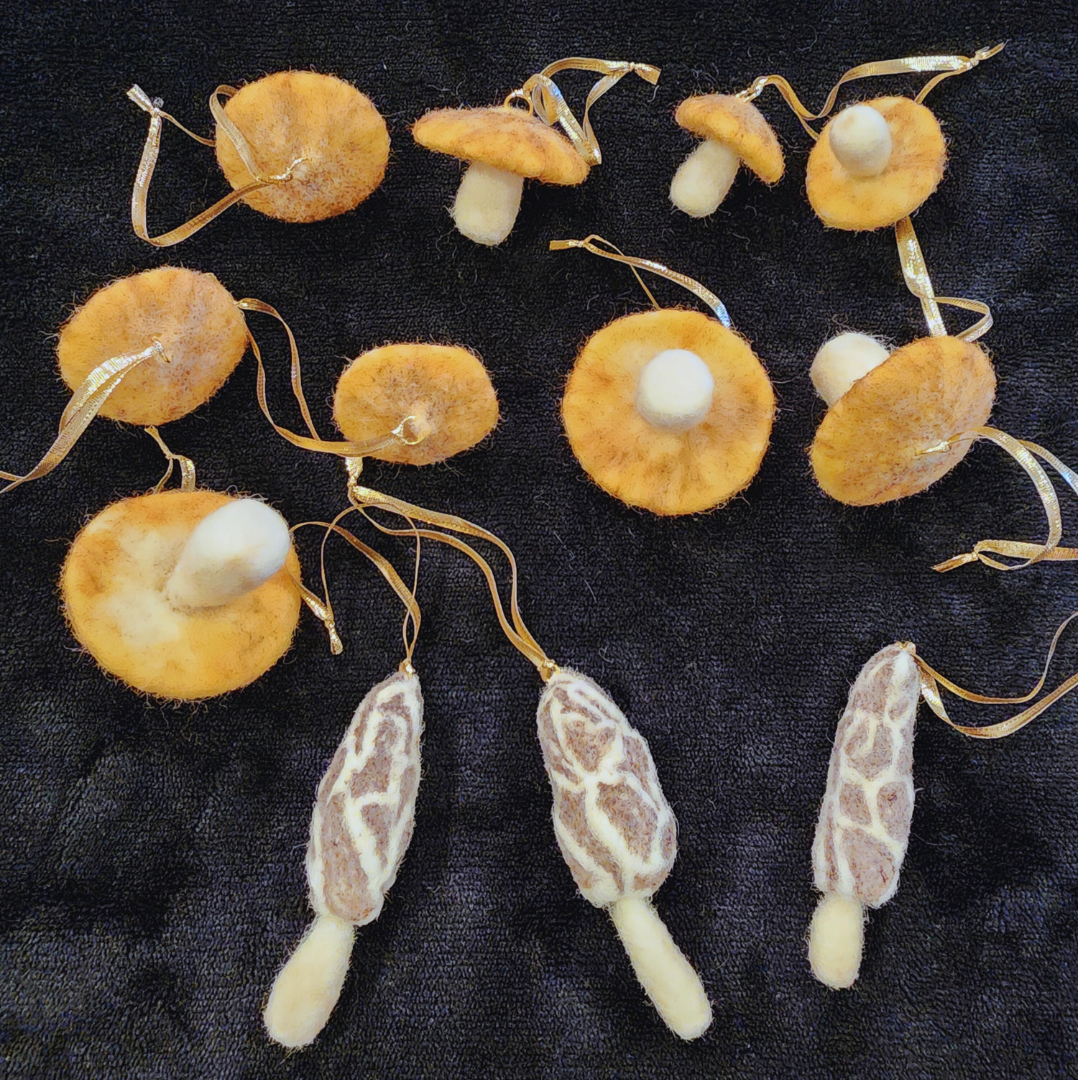 Overhead view of a collection of needle-felted mushroom ornaments on a black surface. The set includes round, orange-capped mushrooms and three longer, brown-and-white patterned morel mushrooms, all with golden ribbon hangers.