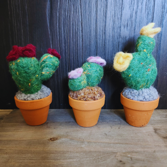 Handmade Potted Wool Flowering Cactus, Thorn-Free