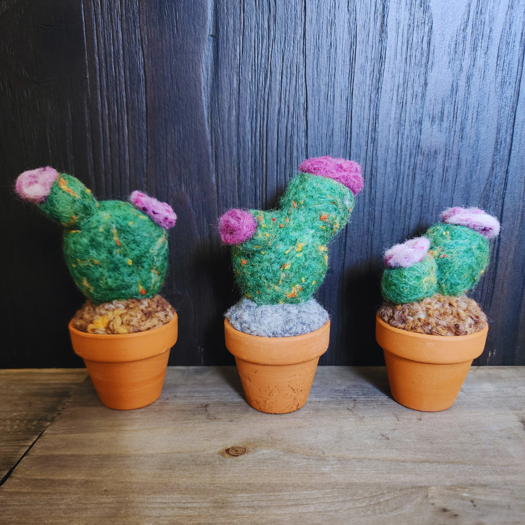 Handmade Potted Wool Flowering Cactus, Thorn-Free