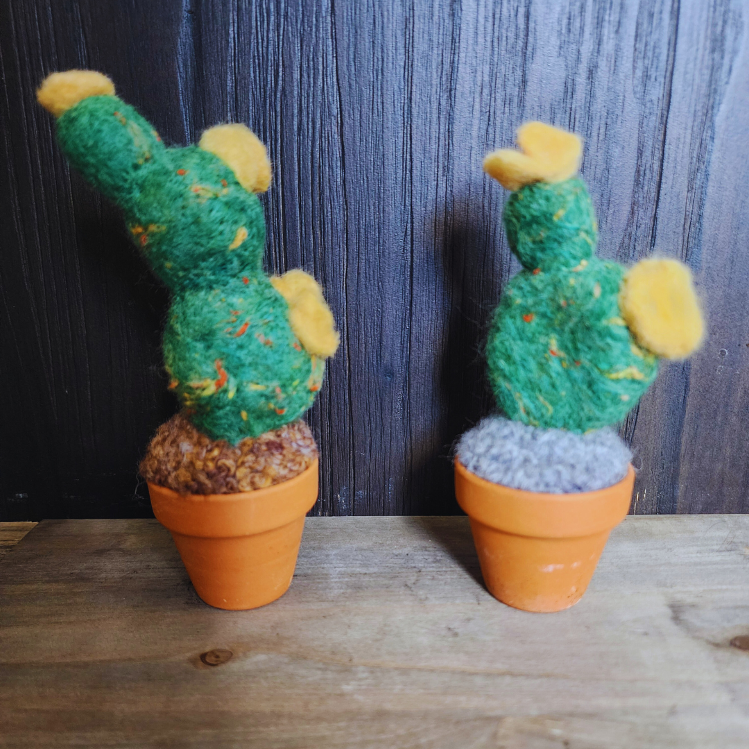 Handmade Potted Wool Flowering Cactus, Thorn-Free