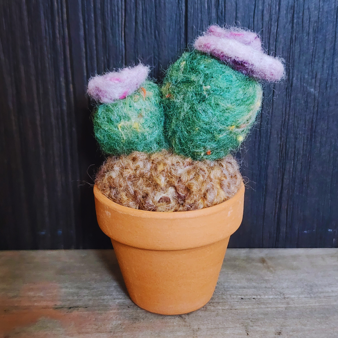 Handmade Potted Wool Flowering Cactus, Thorn-Free