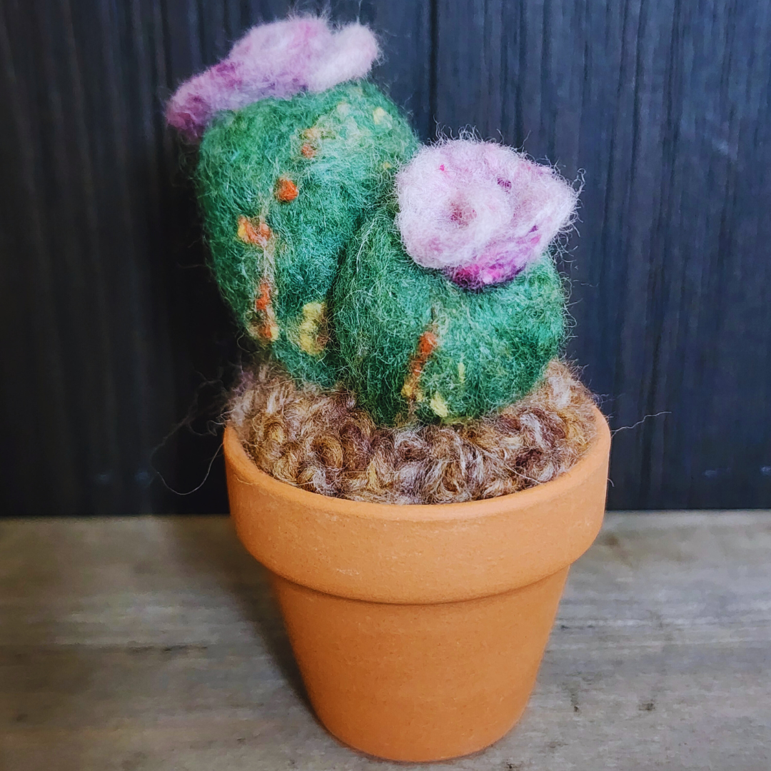 Handmade Potted Wool Flowering Cactus, Thorn-Free