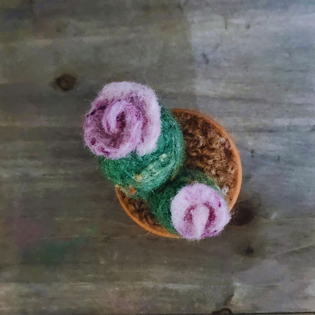 Handmade Potted Wool Flowering Cactus, Thorn-Free