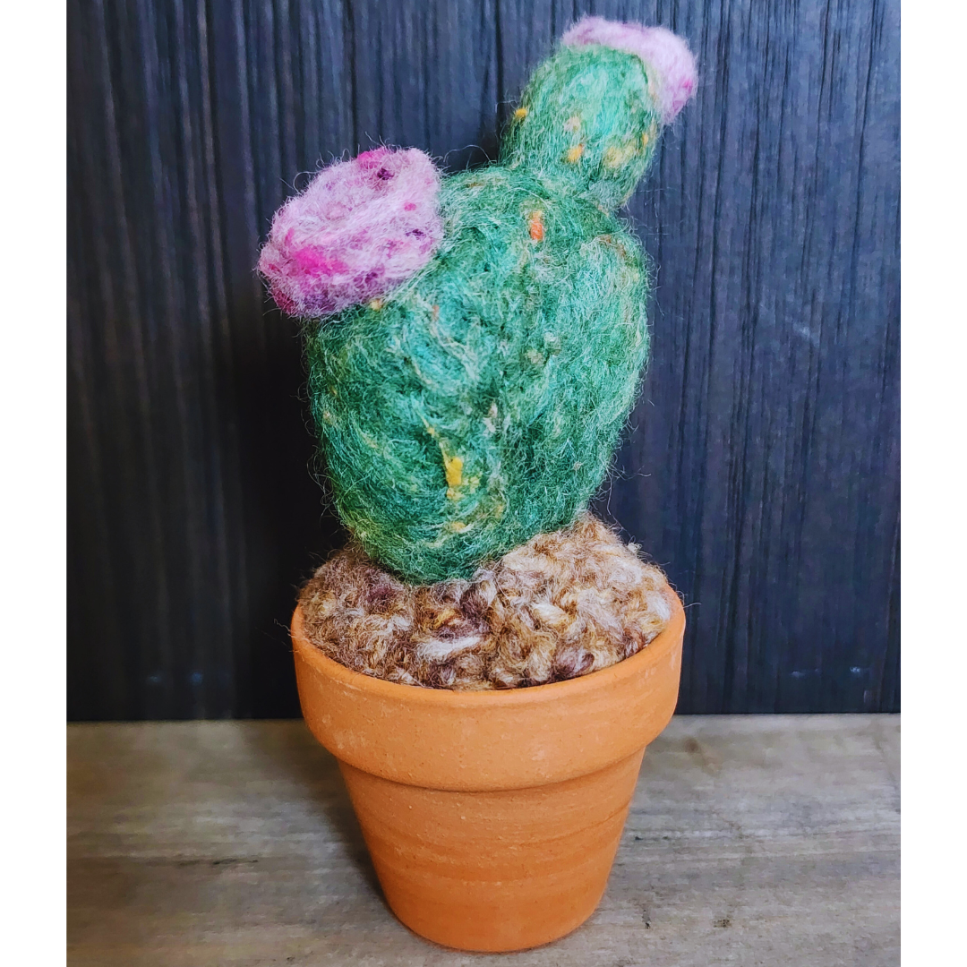 Handmade Potted Wool Flowering Cactus, Thorn-Free