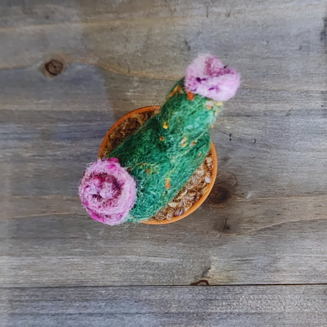 Handmade Potted Wool Flowering Cactus, Thorn-Free