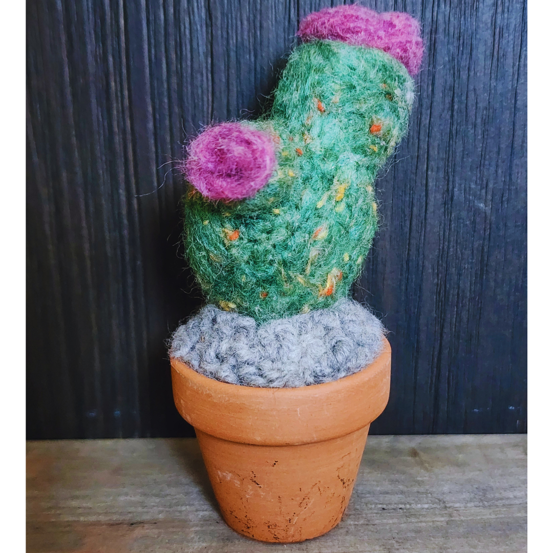 Handmade Potted Wool Flowering Cactus, Thorn-Free