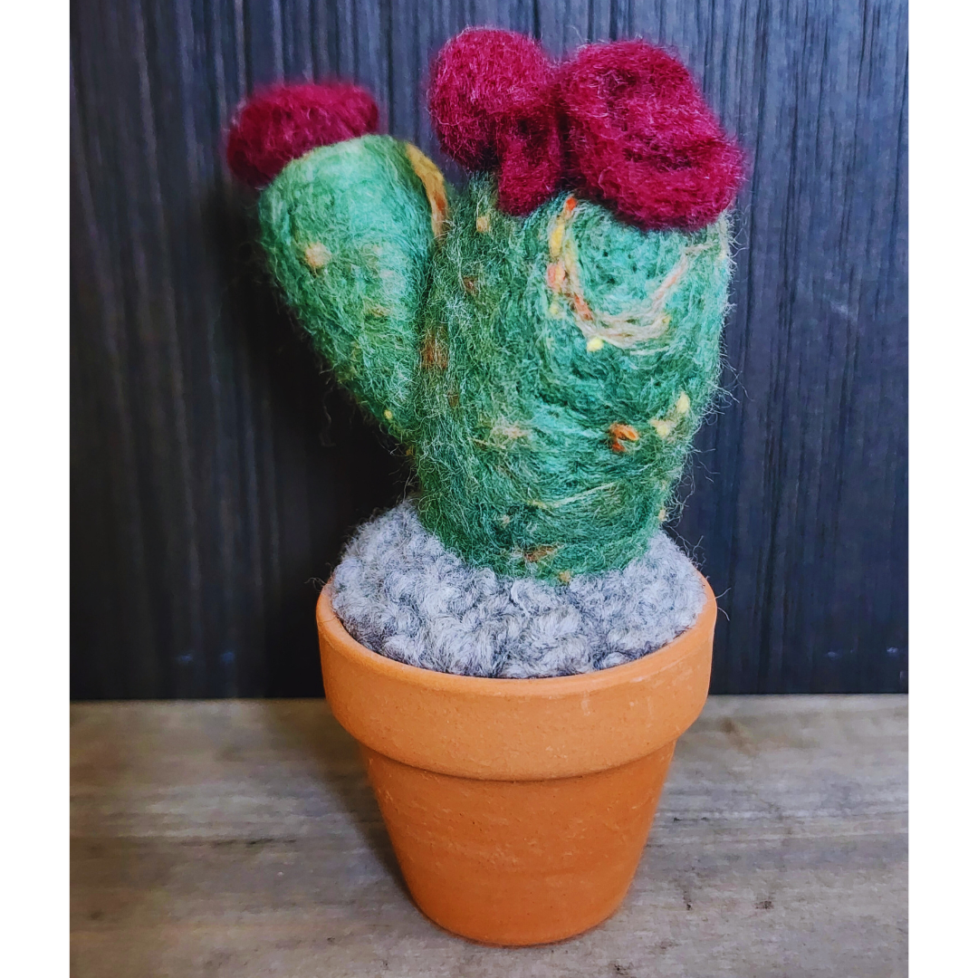 Handmade Potted Wool Flowering Cactus, Thorn-Free