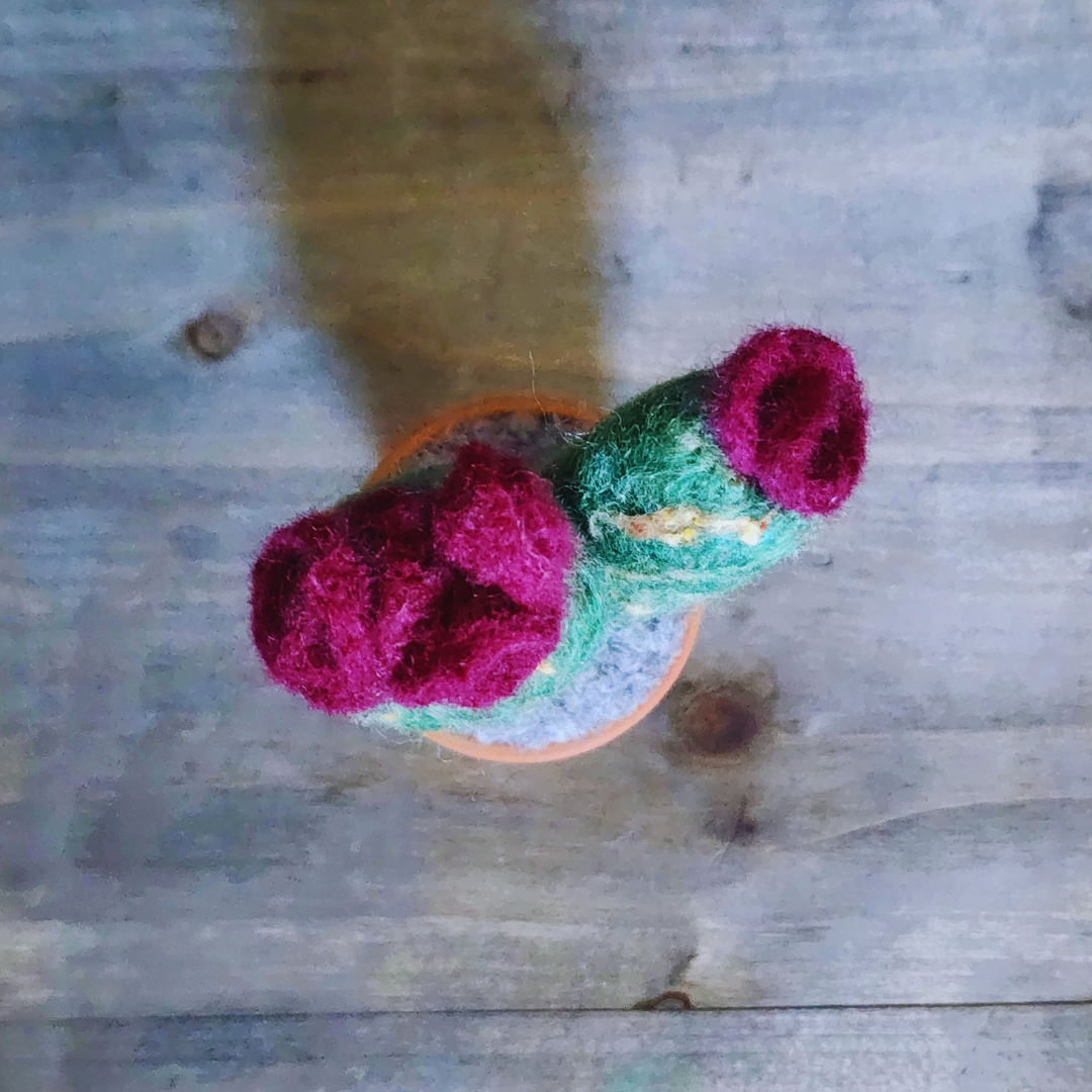 Handmade Potted Wool Flowering Cactus, Thorn-Free
