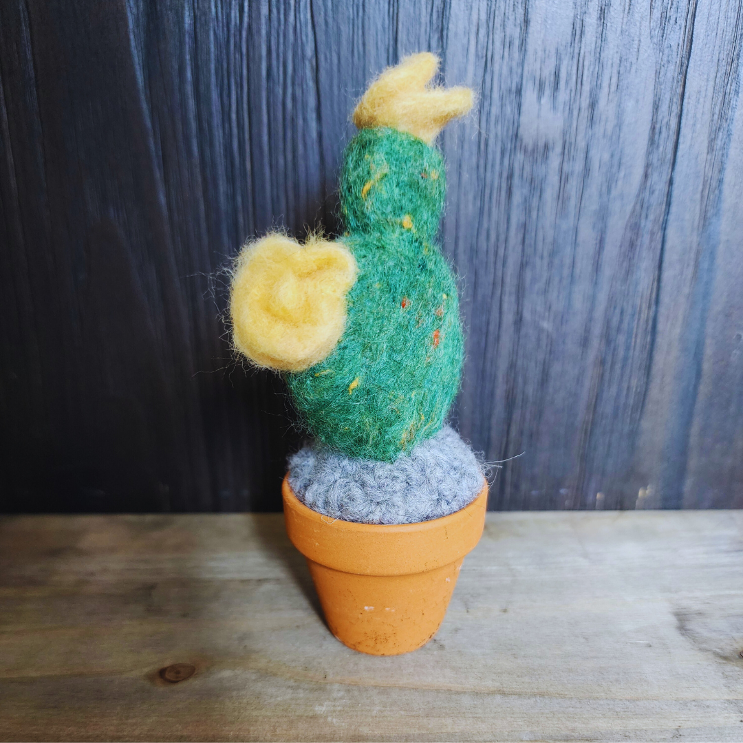 Handmade Potted Wool Flowering Cactus, Thorn-Free