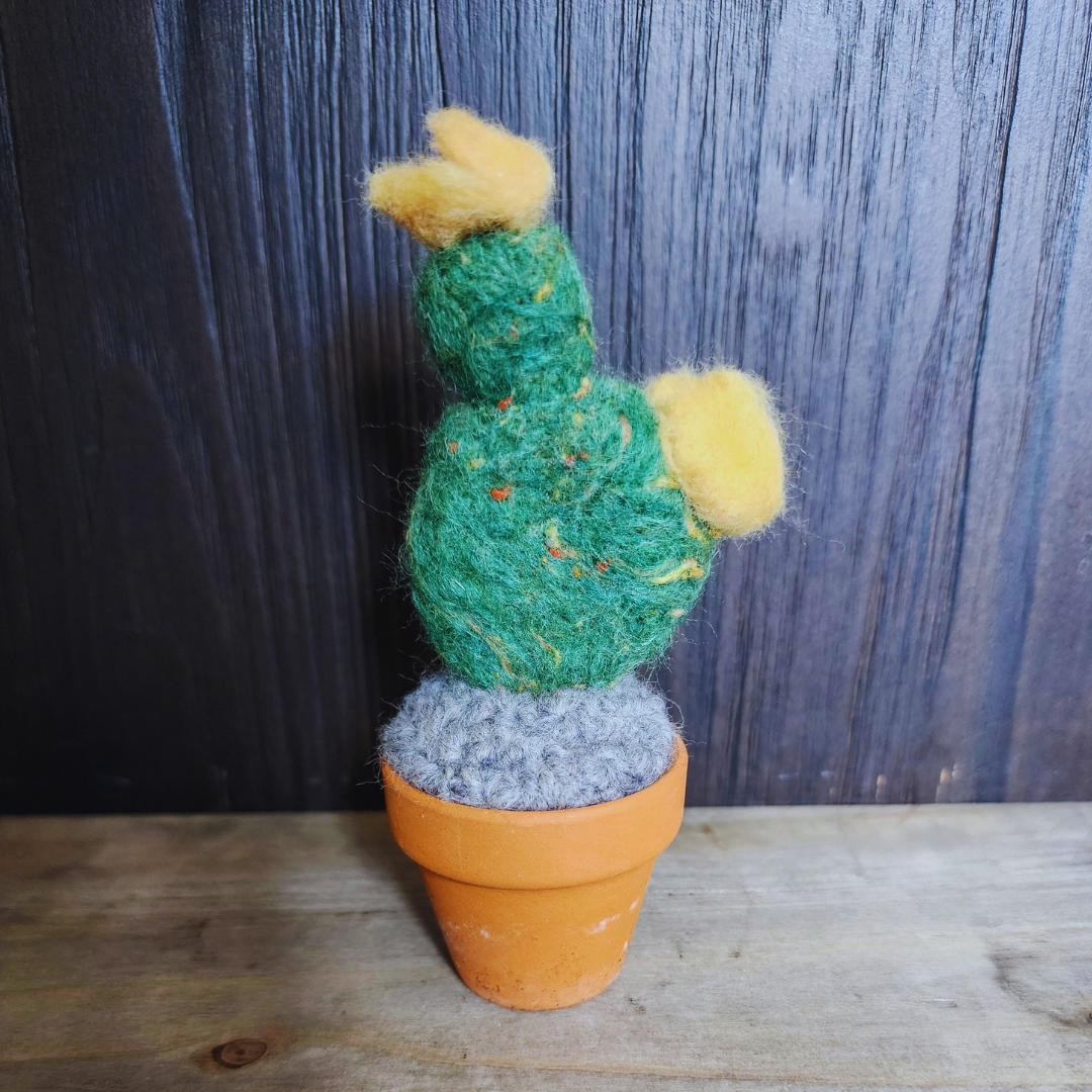 Handmade Potted Wool Flowering Cactus, Thorn-Free