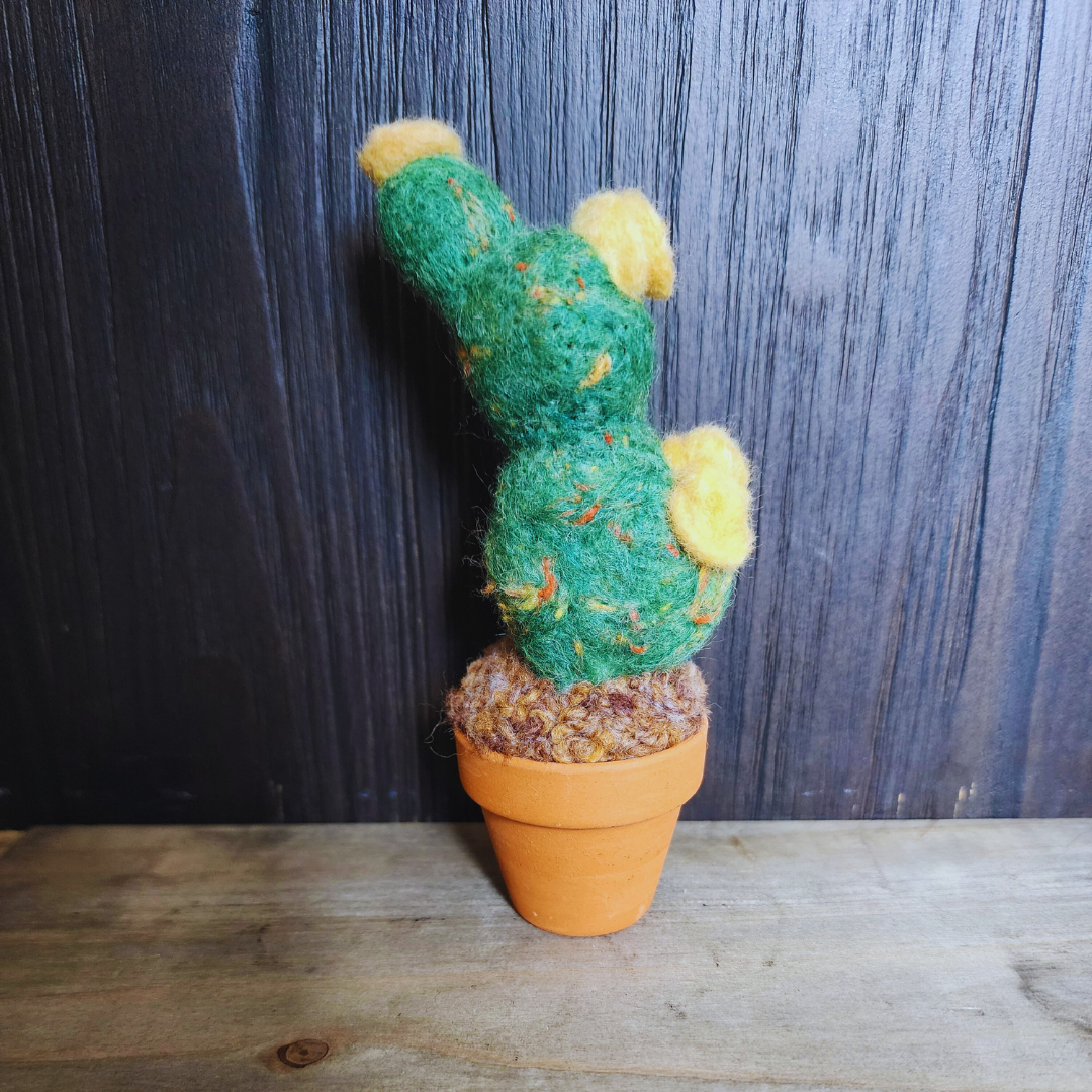 Handmade Potted Wool Flowering Cactus, Thorn-Free