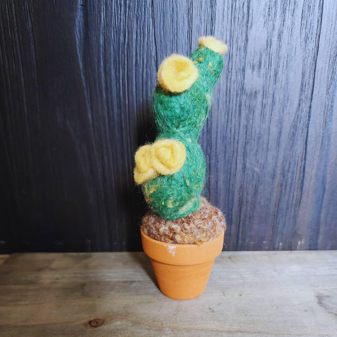 Handmade Potted Wool Flowering Cactus, Thorn-Free