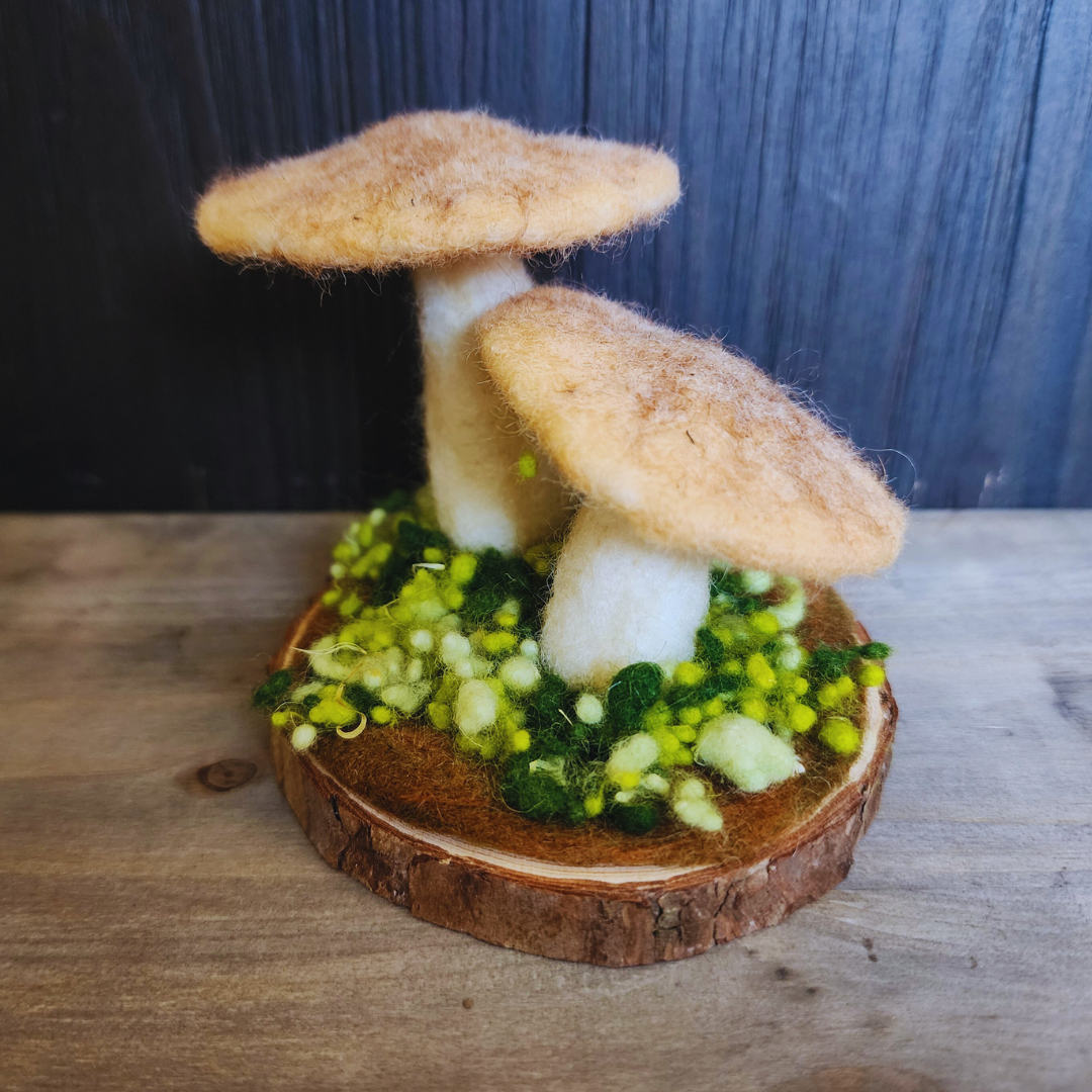Handmade Wool Mushroom Garden on Wood Base Decor