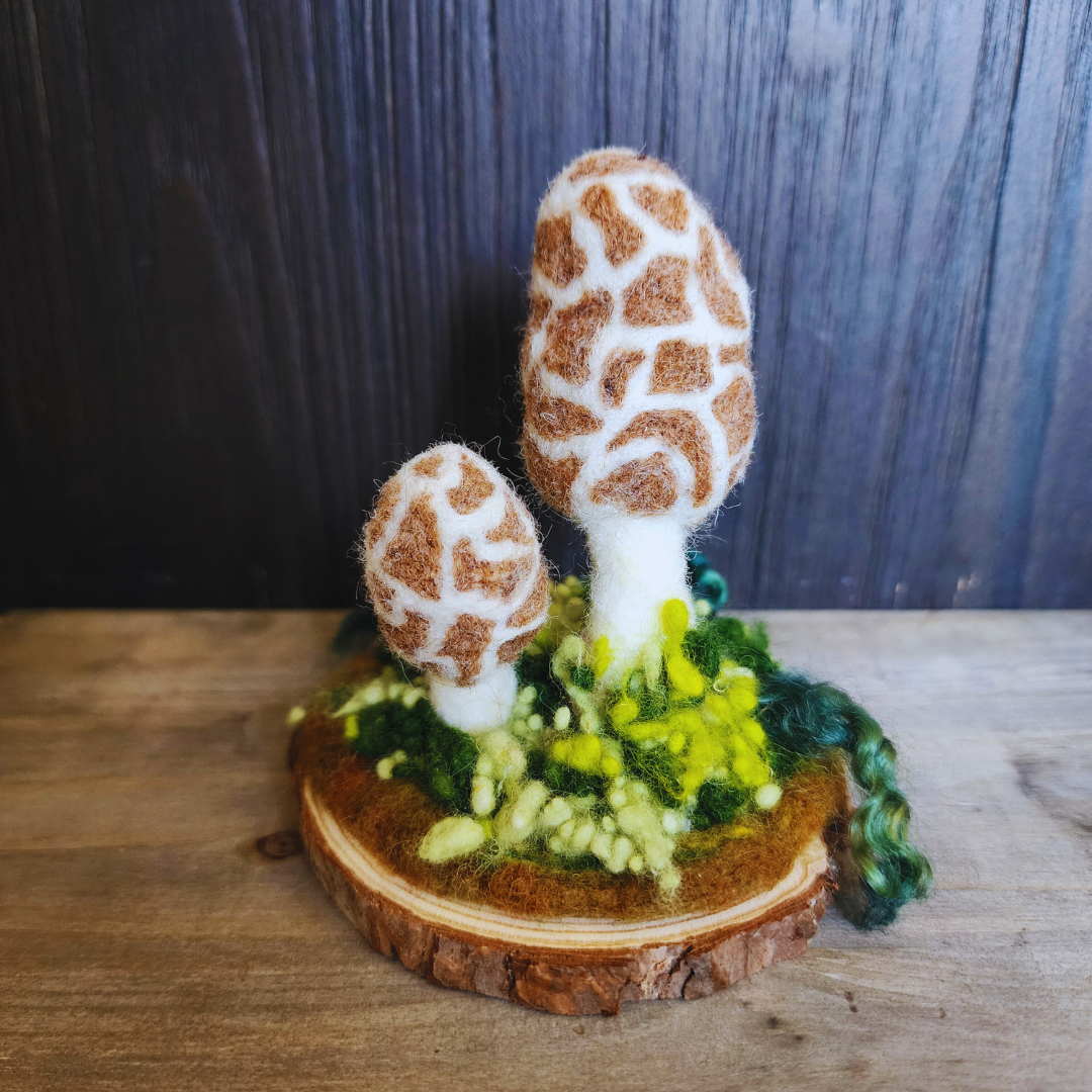 Handmade Wool Mushroom Garden on Wood Base Decor