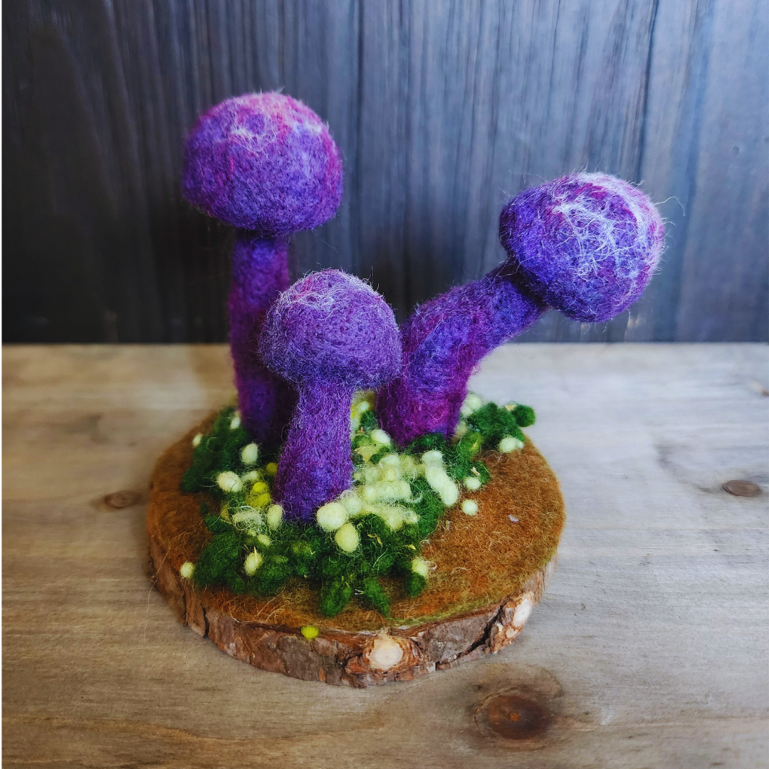 Handmade Wool Mushroom Garden on Wood Base Decor