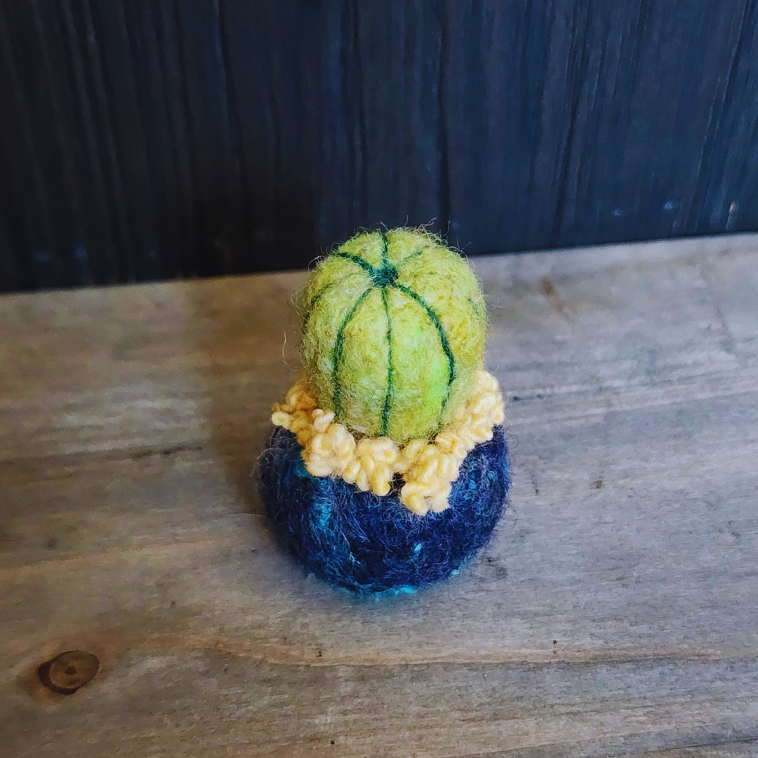 Handmade Wool Felted Mini Barrel Cactus, Spikeless