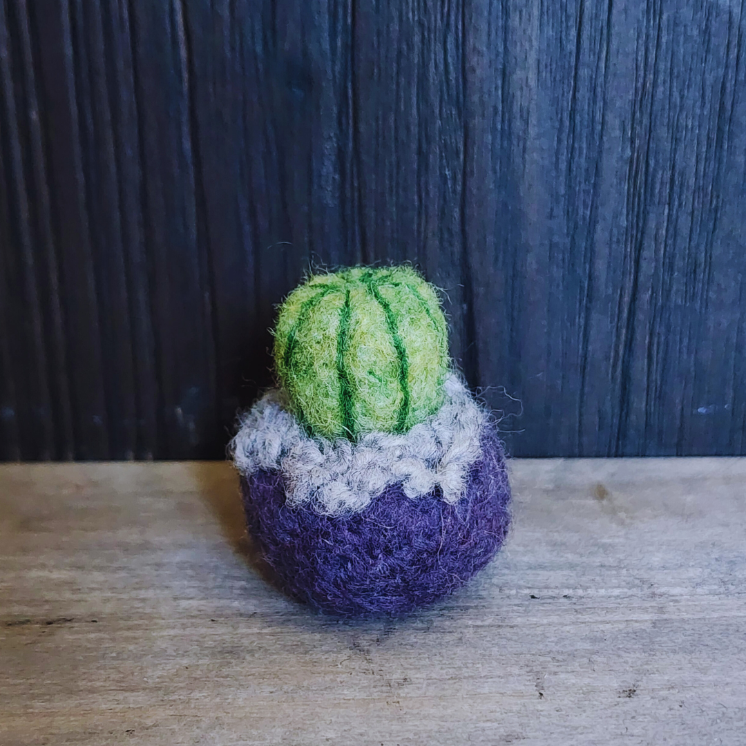 Handmade Wool Felted Mini Barrel Cactus, Spikeless