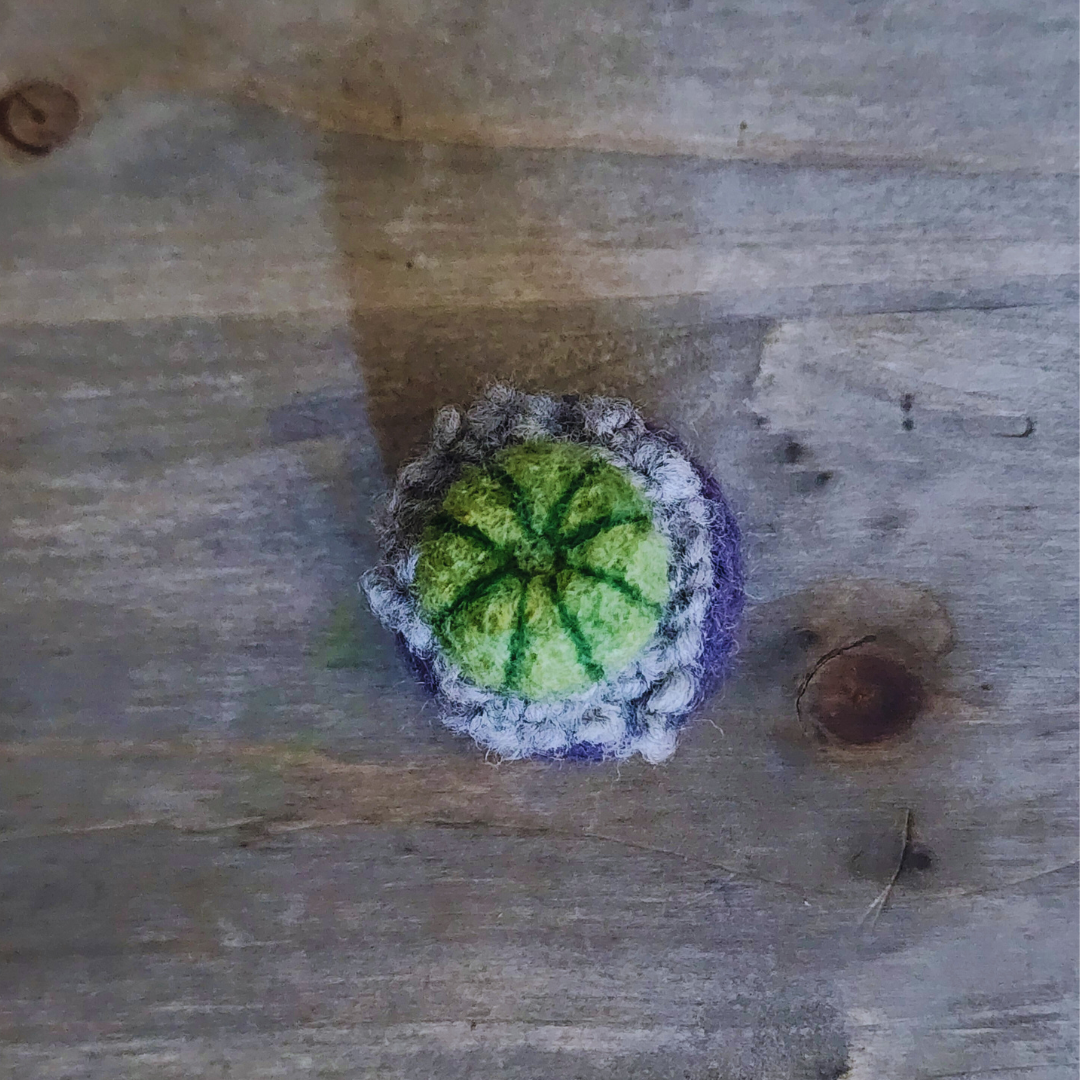 Handmade Wool Felted Mini Barrel Cactus, Spikeless