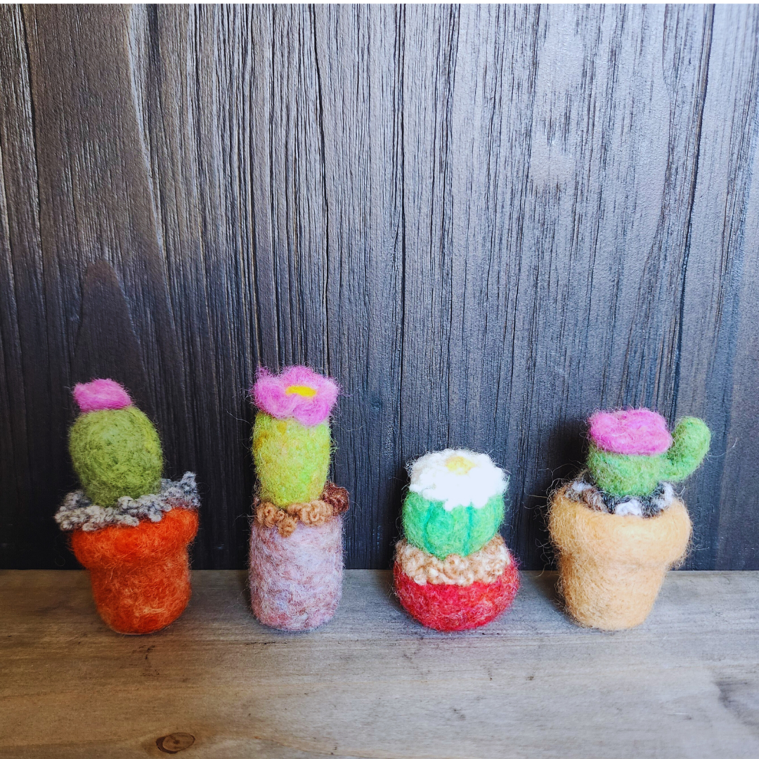 Handmade Wool Flowering Cactus Decor, No Thorns
