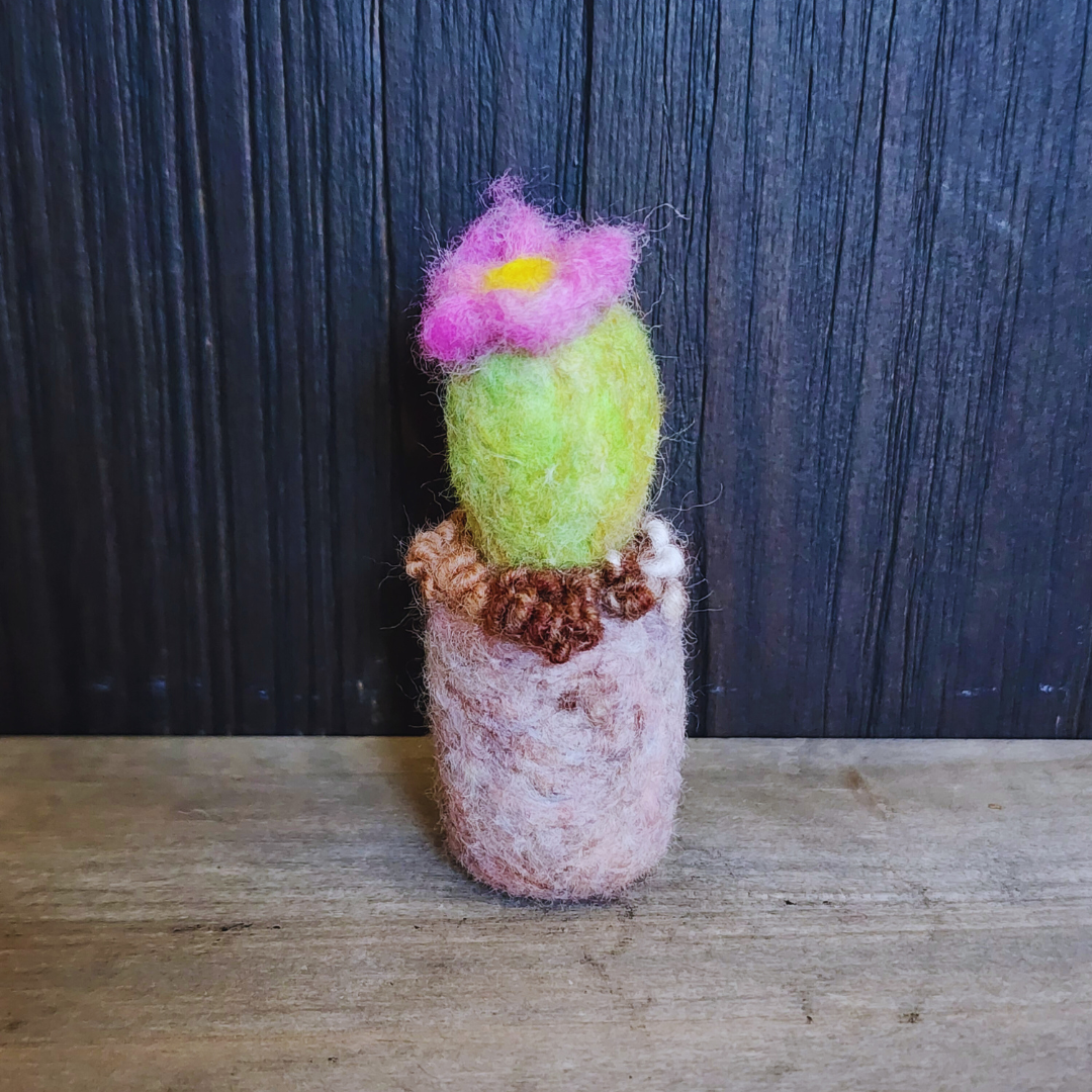 Handmade Wool Flowering Cactus Decor, No Thorns